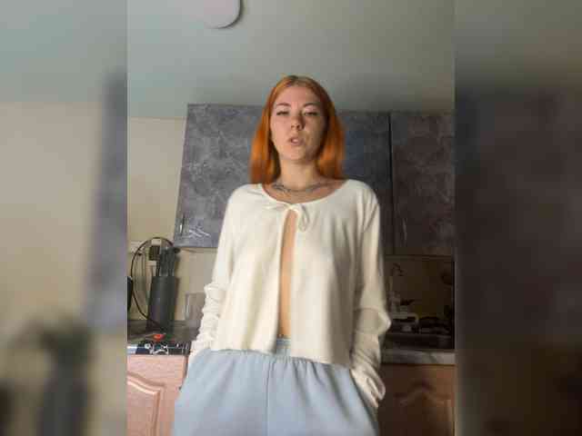 Chanterelle-Fox webcam