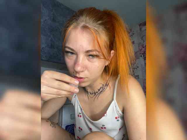 Chanterelle-Fox webcam