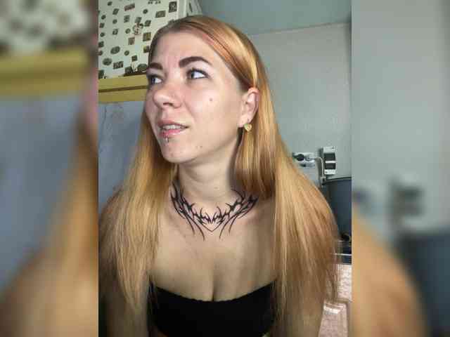 Chanterelle-Fox webcam