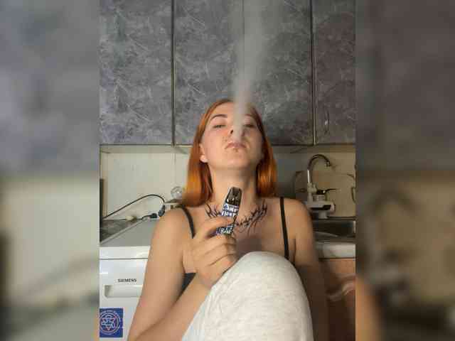 Chanterelle-Fox webcam