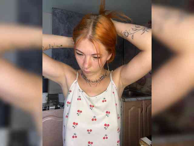 Chanterelle-Fox webcam