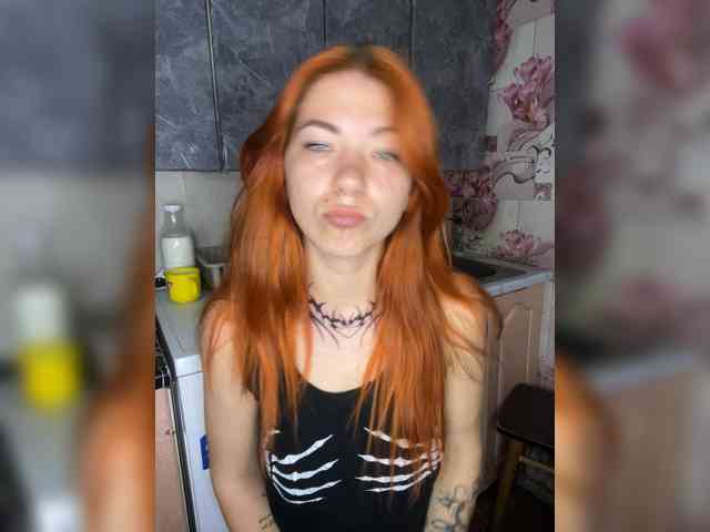 Chanterelle-Fox webcam