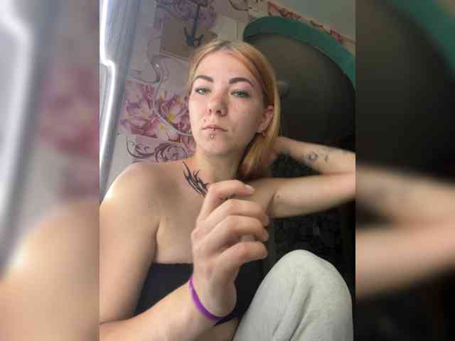 Chanterelle-Fox webcam