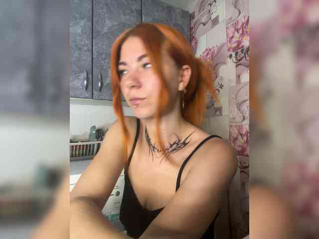 Chanterelle-Fox webcam