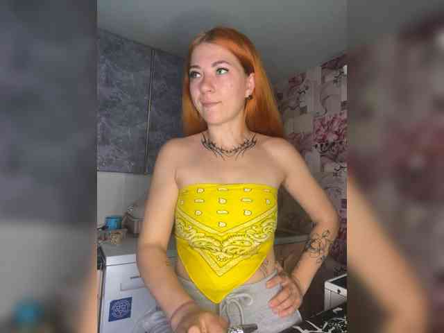 Chanterelle-Fox webcam