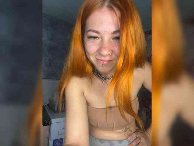 Chanterelle-Fox webcam