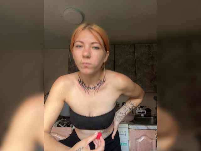 Chanterelle-Fox webcam