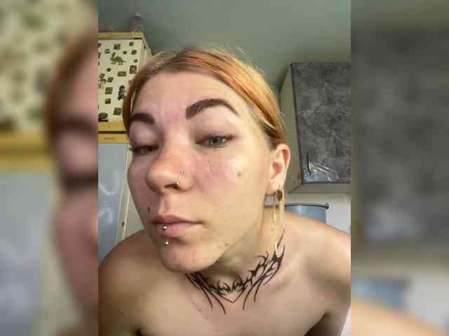 Chanterelle-Fox webcam