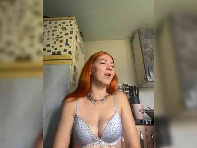 Chanterelle-Fox webcam