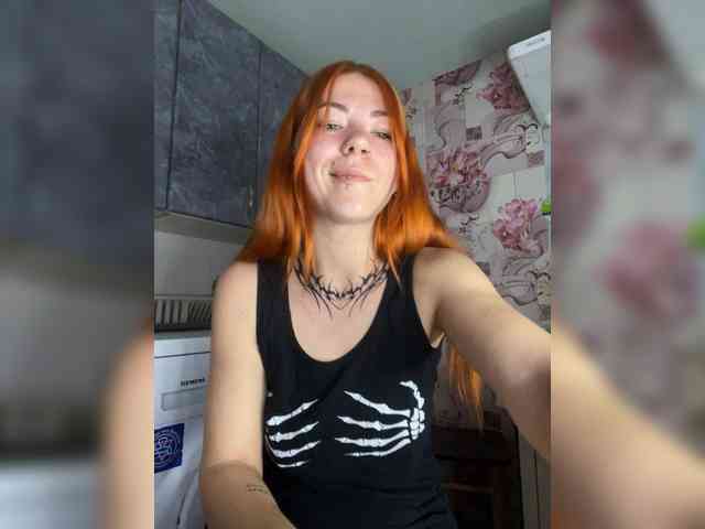 Chanterelle-Fox webcam