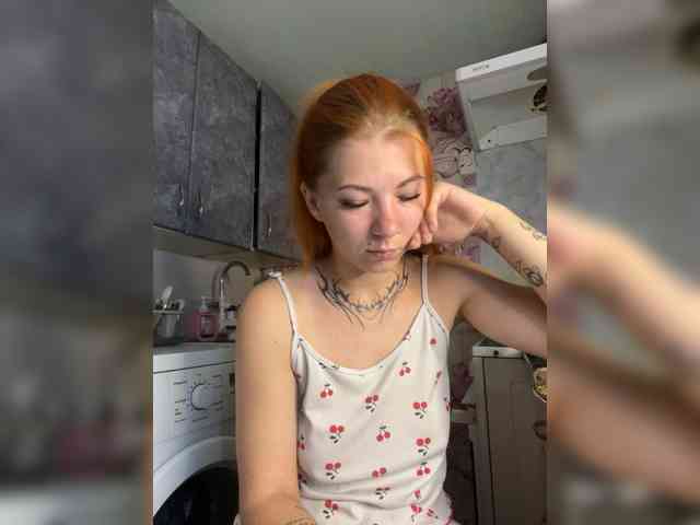 Chanterelle-Fox webcam