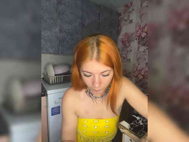 Chanterelle-Fox webcam