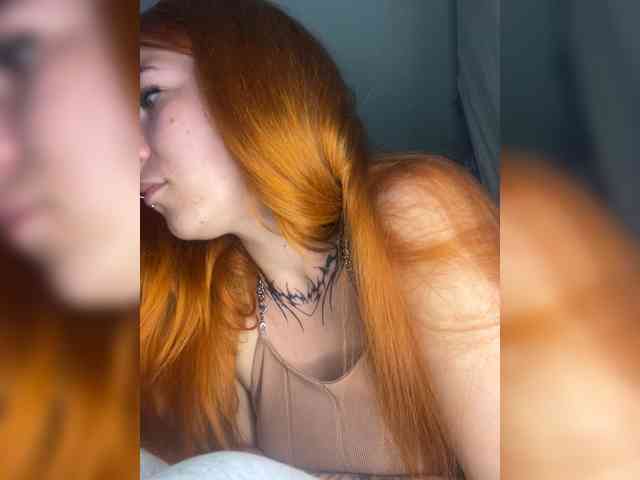 Chanterelle-Fox webcam