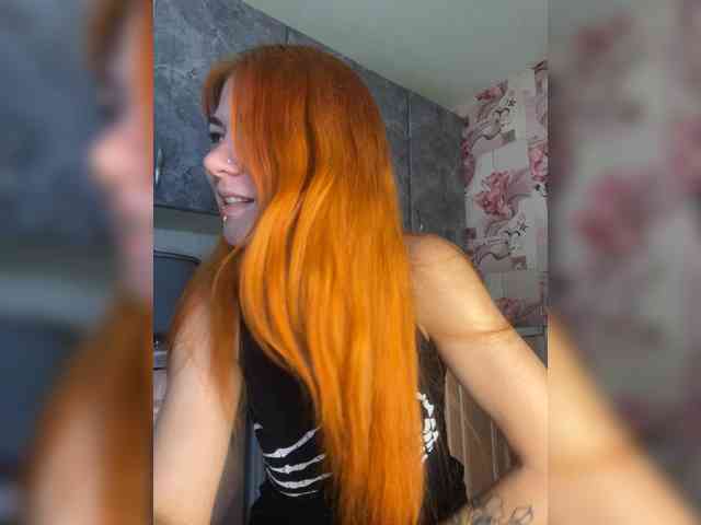 Chanterelle-Fox webcam