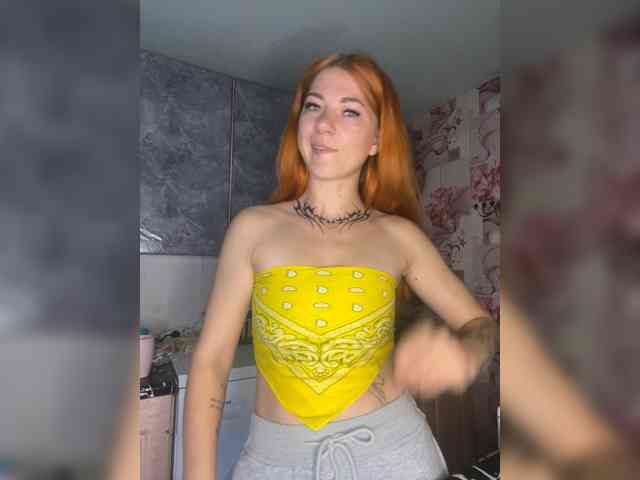 Chanterelle-Fox webcam