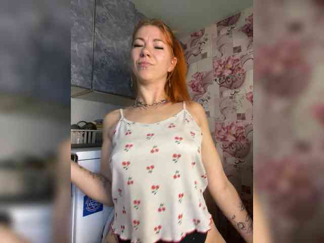 Chanterelle-Fox webcam