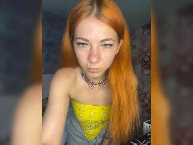 Chanterelle-Fox webcam