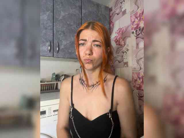 Chanterelle-Fox webcam