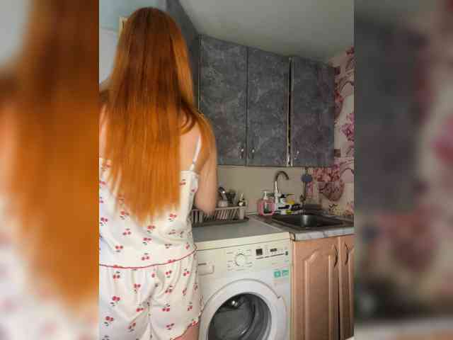 Chanterelle-Fox webcam