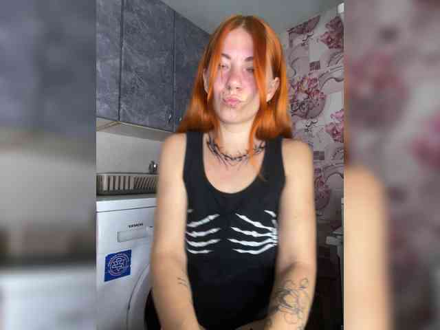 Chanterelle-Fox webcam