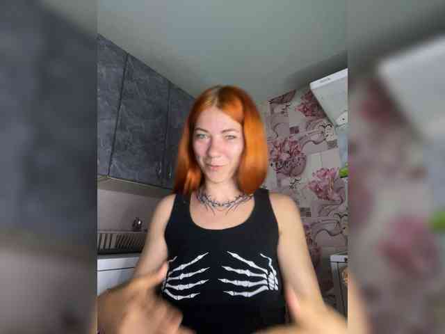 Chanterelle-Fox webcam