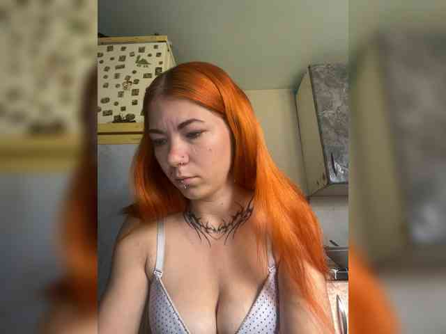 Chanterelle-Fox webcam