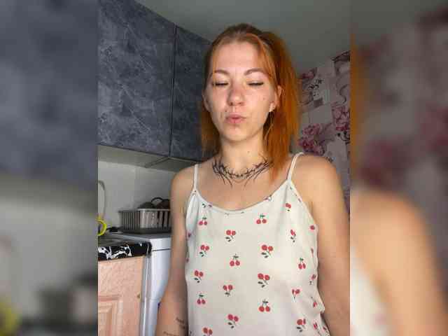 Chanterelle-Fox webcam