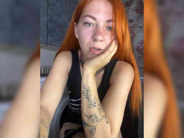 Chanterelle-Fox webcam