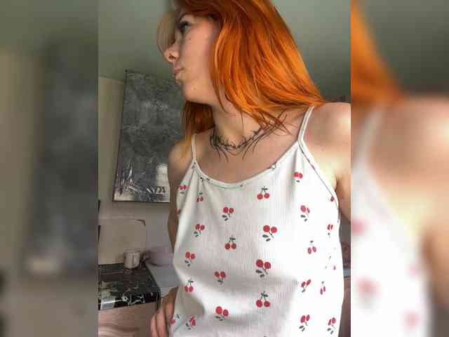 Chanterelle-Fox webcam