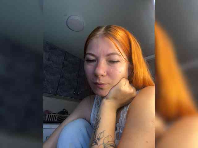 Chanterelle-Fox webcam