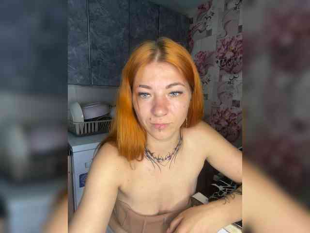 Chanterelle-Fox webcam