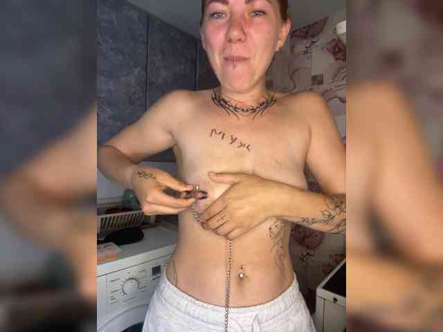 Chanterelle-Fox webcam