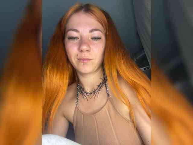 Chanterelle-Fox webcam