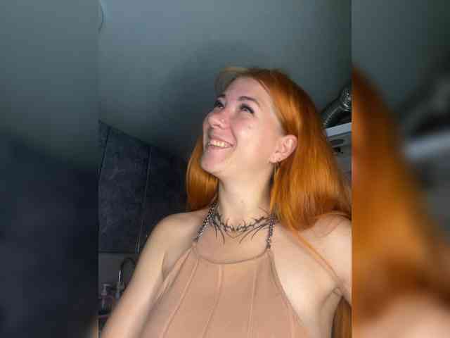 Chanterelle-Fox webcam