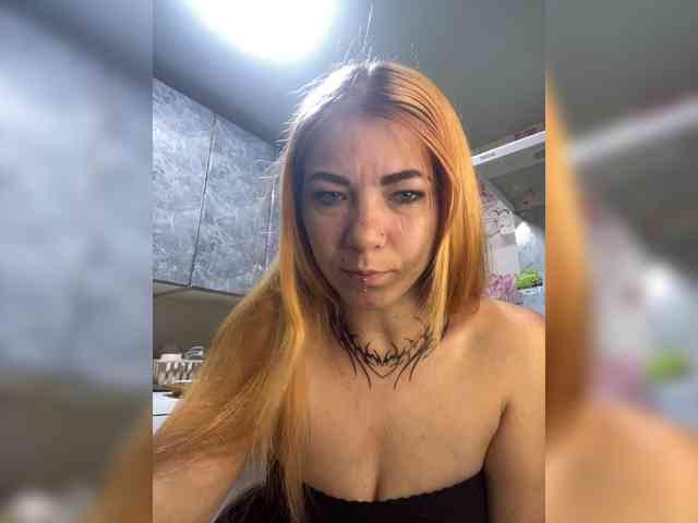 Chanterelle-Fox webcam