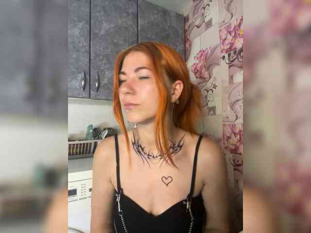 Chanterelle-Fox webcam