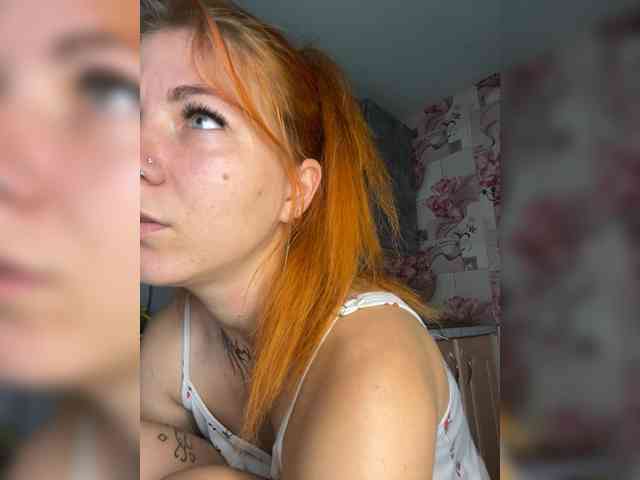 Chanterelle-Fox webcam