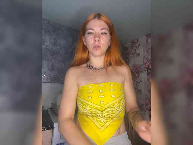 Chanterelle-Fox webcam