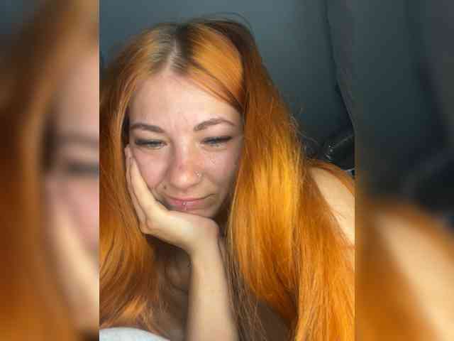 Chanterelle-Fox webcam