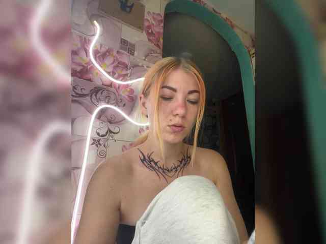 Chanterelle-Fox webcam