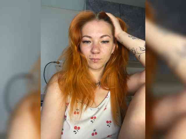 Chanterelle-Fox webcam