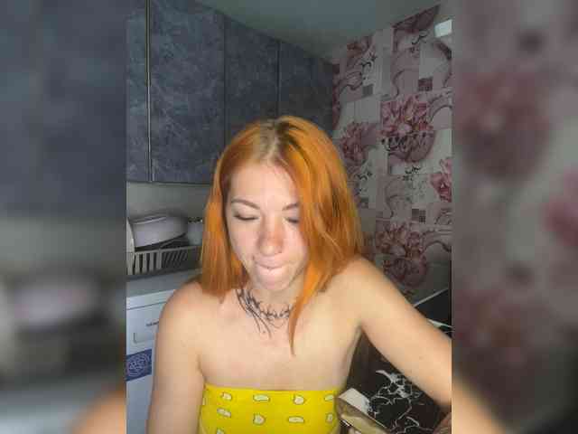 Chanterelle-Fox webcam