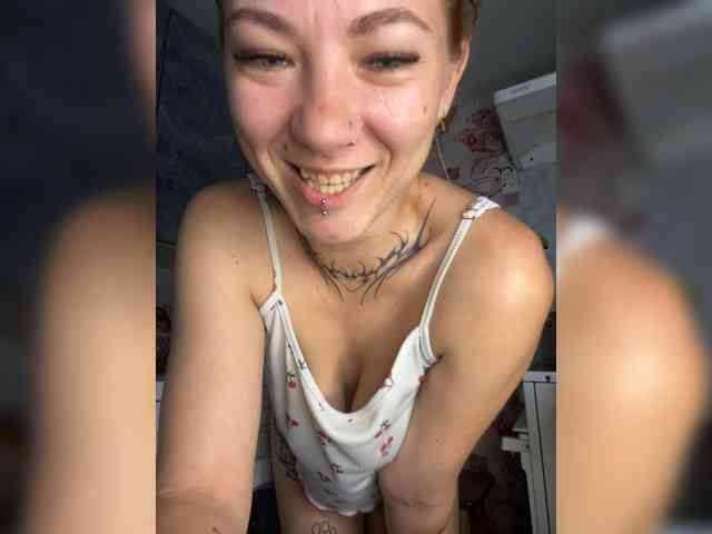 Chanterelle-Fox webcam