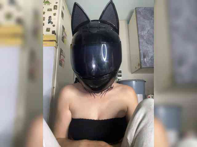 Chanterelle-Fox webcam