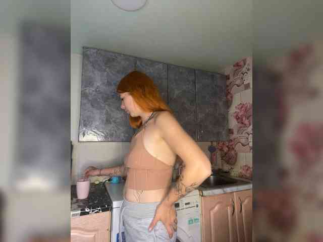 Chanterelle-Fox webcam