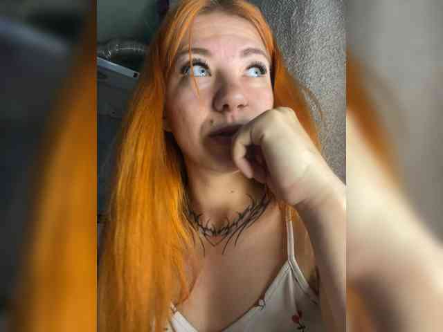 Chanterelle-Fox webcam