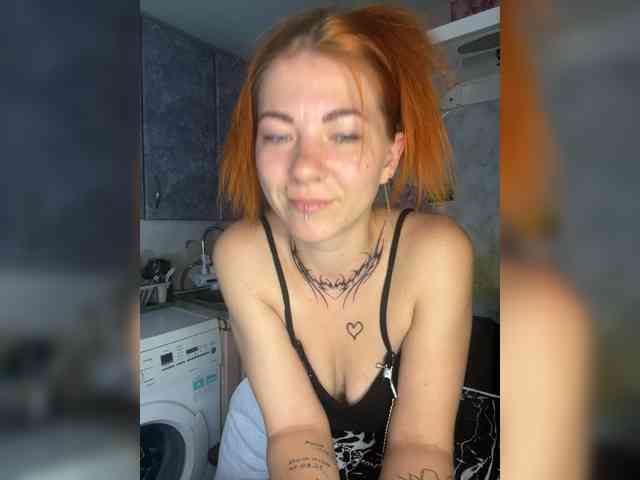 Chanterelle-Fox webcam