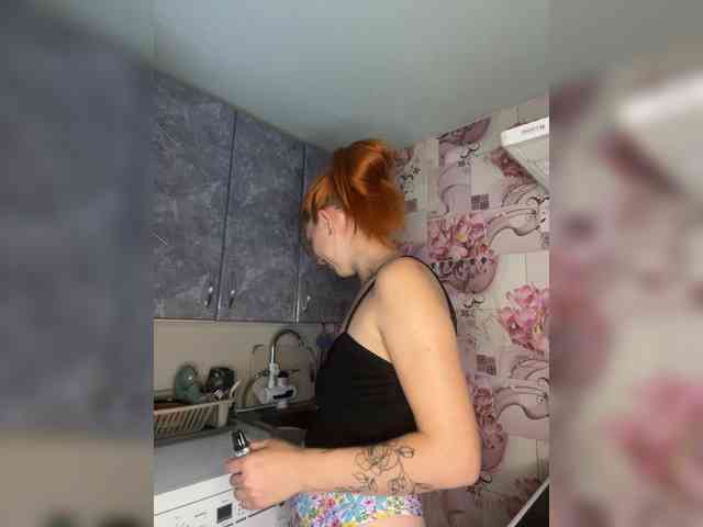 Chanterelle-Fox webcam