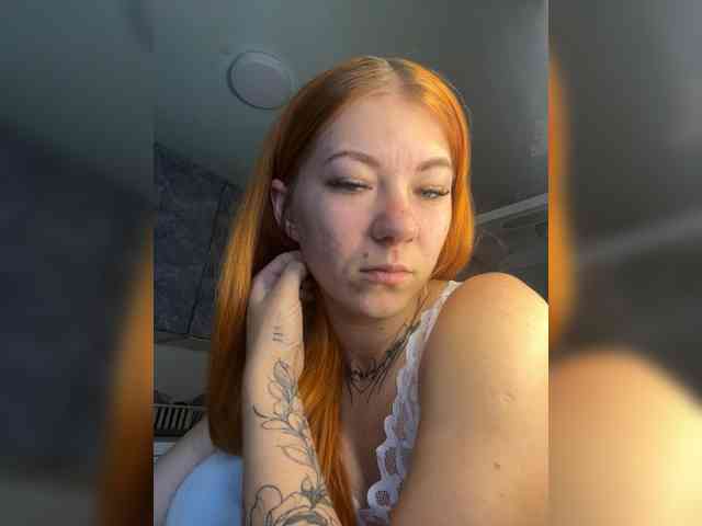 Chanterelle-Fox webcam