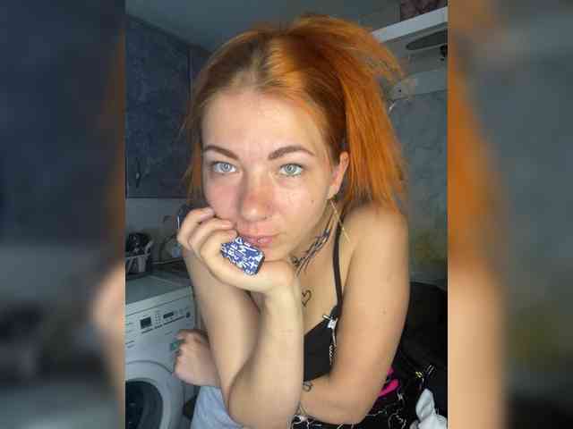 Chanterelle-Fox webcam